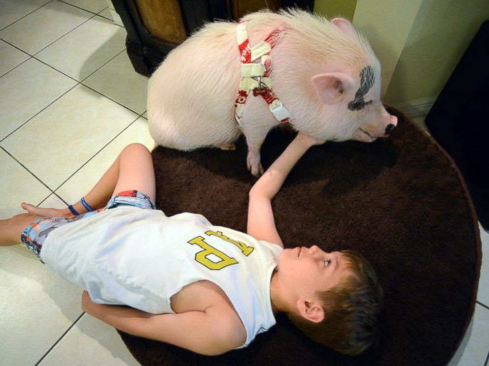 PHOTO: Rori Halpern says Wilbur, a potbellied pig, is ‘a part of the family.’