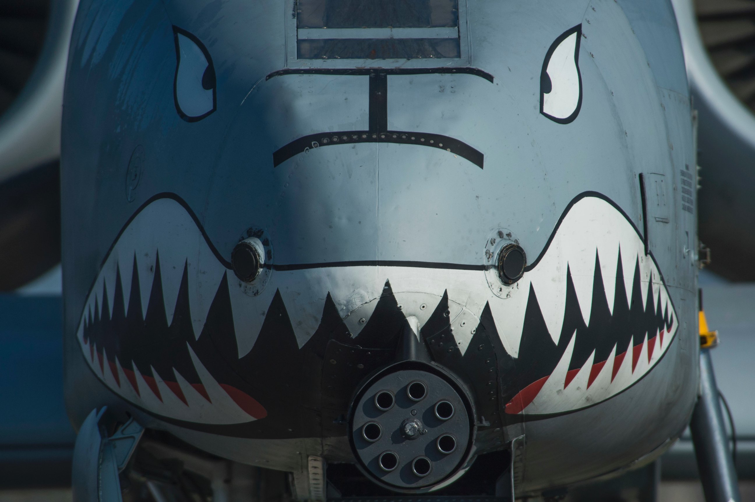 PHOTO: The nose of a U.S. Air Force A-10 Thunderbolt II displays a painted set of eyes and teeth  in support of Operation Atlantic Resolve at Graf Ignatievo, Bulgaria, March 18, 2016.
