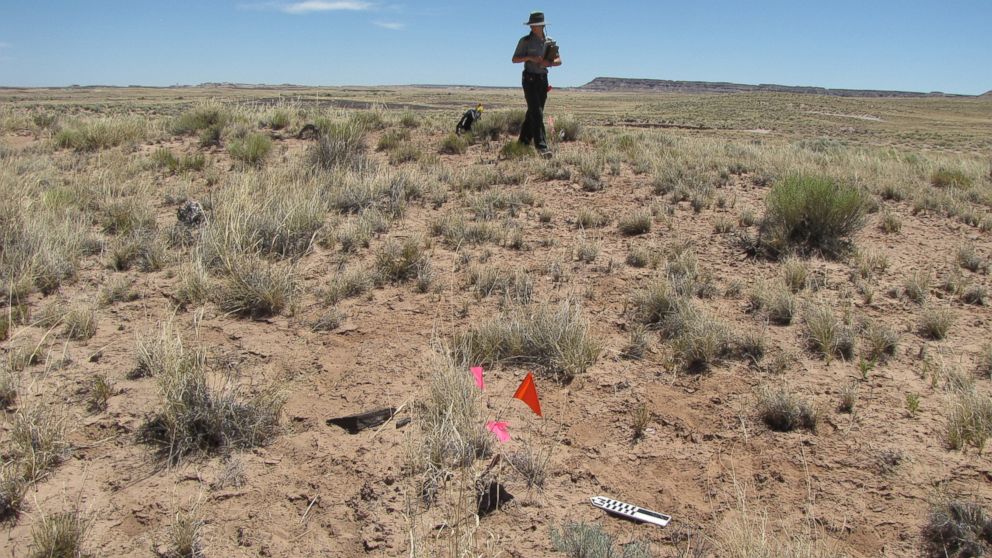 Archaeologists surveying land acquired by Petrified Forest National Park have found traces of two ancient villages. The flags mark a site where pottery was found.