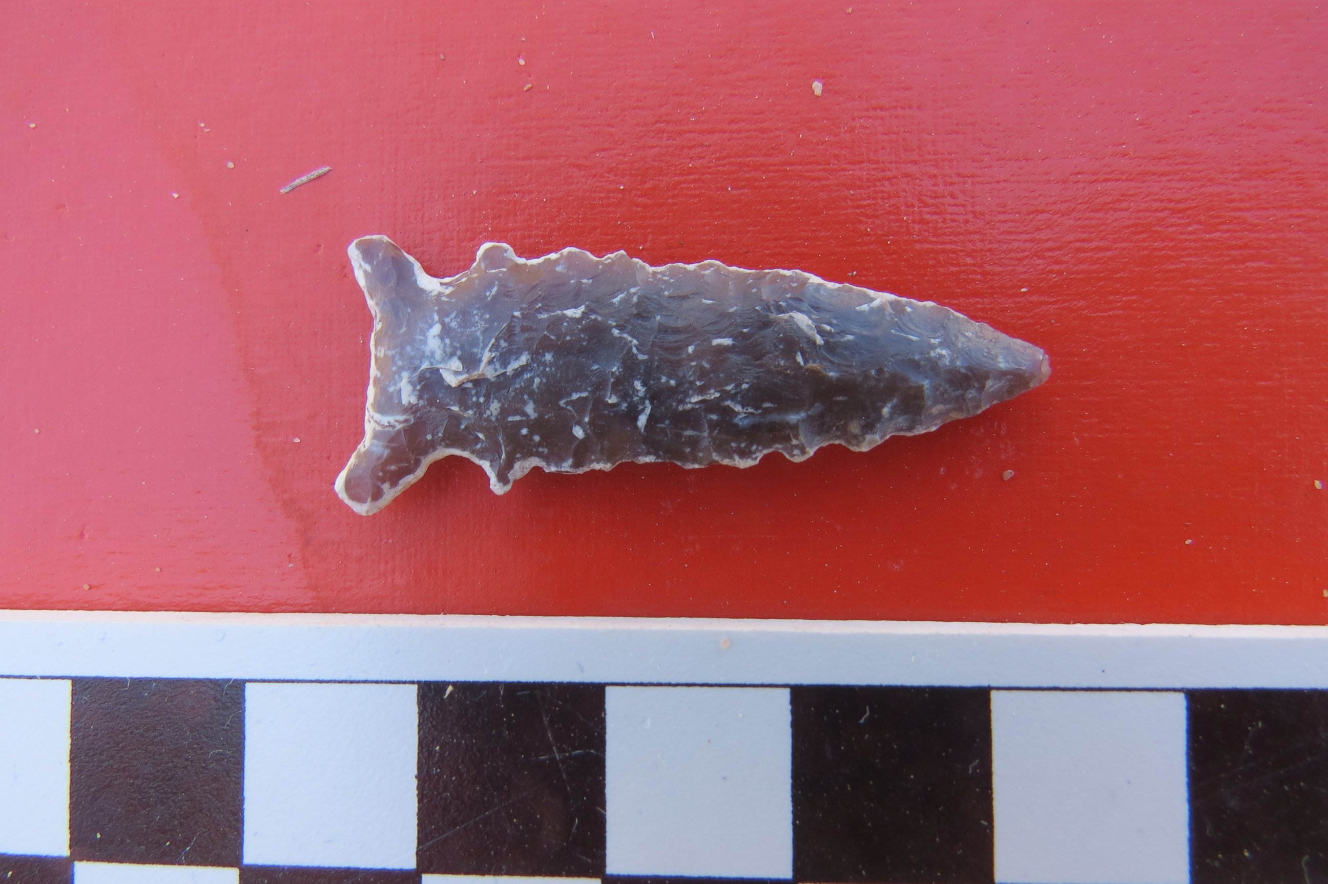 PHOTO: A projectile stone point with serrated edge is among the artifacts found at the sites.