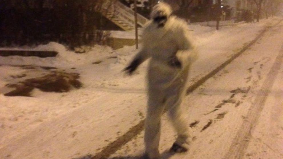 Boston Yeti How It Spends The Summer And The Foolproof Way To