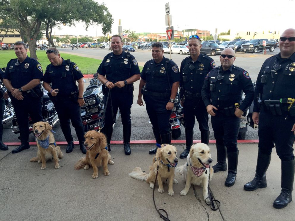 PHOTO: Comfort dogs Ruthie, Luther, Phoebe and Pax pose with members of the Dallas Police Department. 