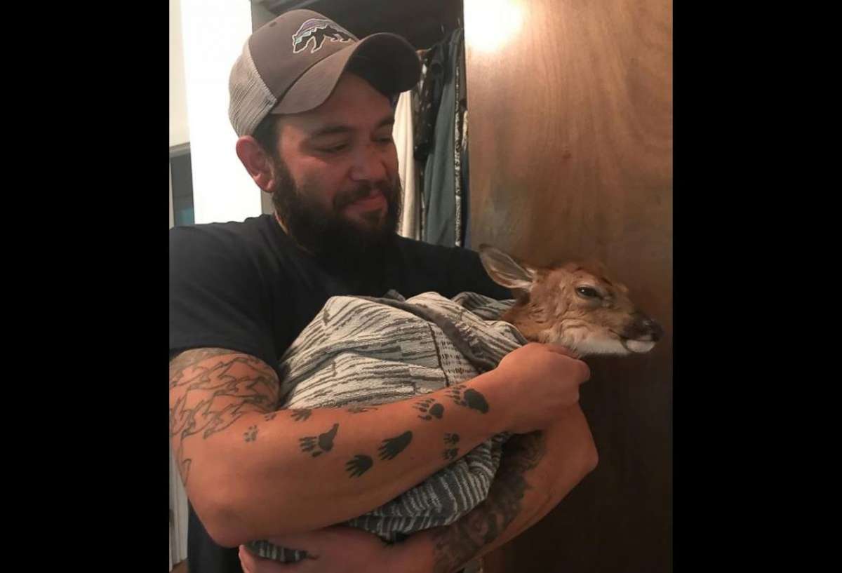 PHOTO: The Washington Township Police Department in Warren County, New Jersey shares an image of baby deer its officers delivered via c-section. 
