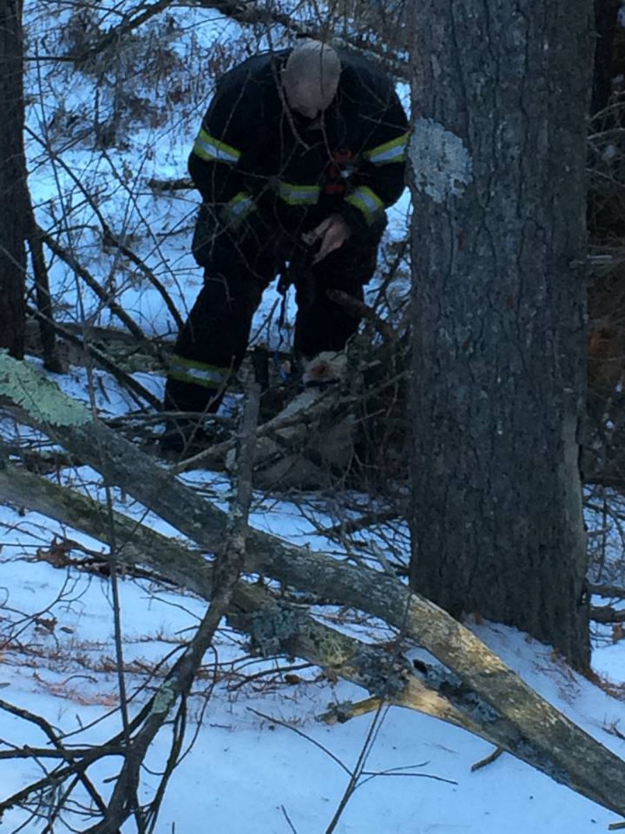 PHOTO: A white terrier dog named Jacques led police officer Chris Bisceglia to his canine best friend Annabelle, who was stranded in an embankment, on Jan. 5, 2016, according to the Orange Police Department in Orange, Massachusetts.