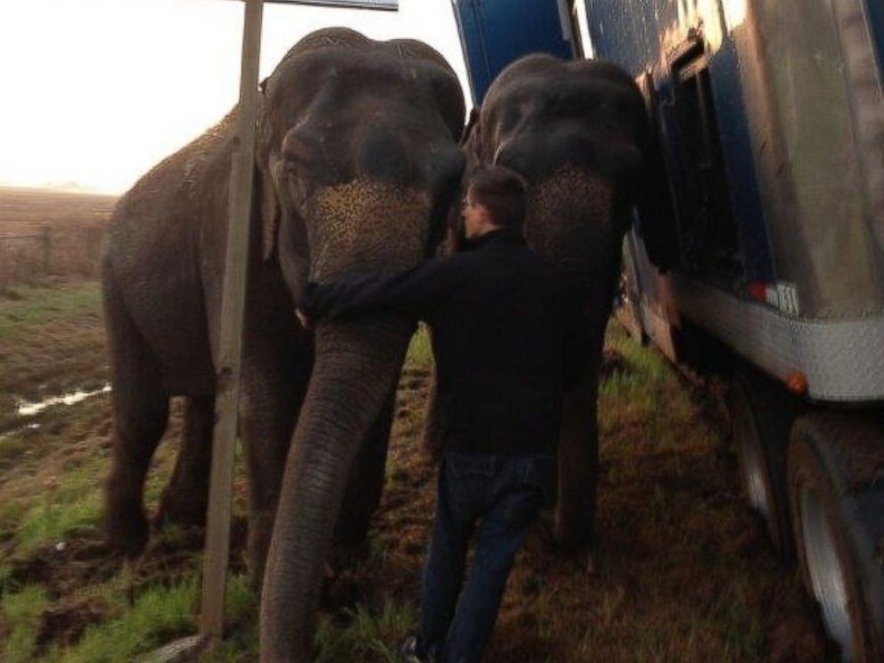 PHOTO: Two elephants kept a stranded 18-wheeler from overturning after it became stranded on on Interstate 49 in Natchitoches Parish, Louisiana, Tuesday, March 24, 2015.