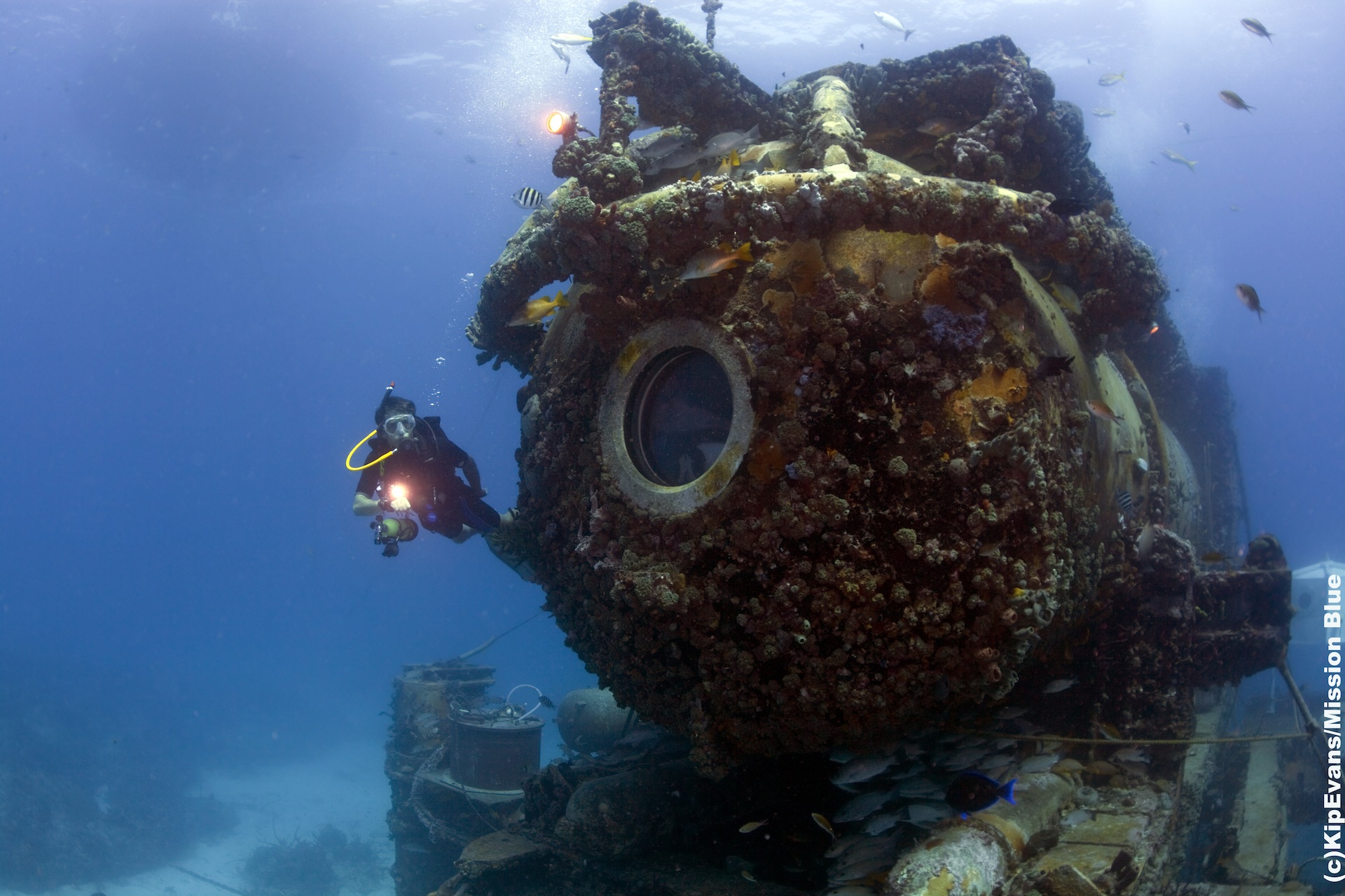 PHOTO: Fabien Cousteau is an oceanographic explorer. 