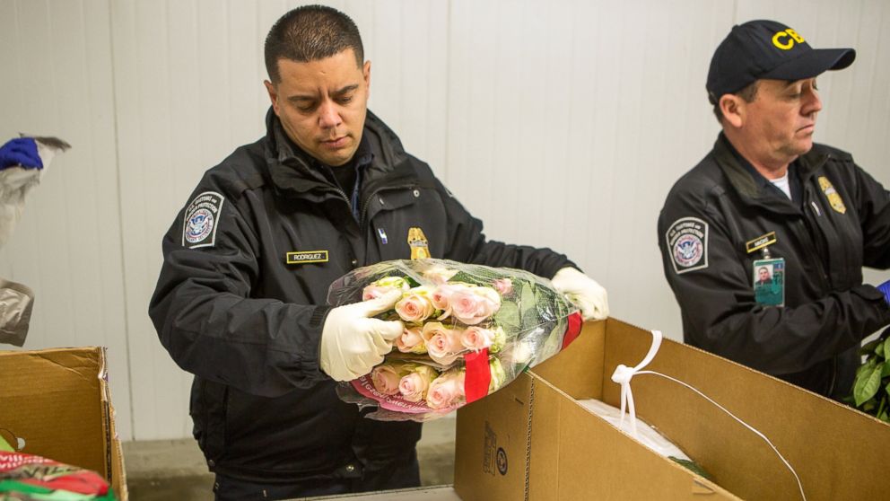 U.S. Customs and Border Protection Agricultural Specialists inspect imported flowers, ahead of Valentine's Day, in Miami, Feb. 10, 2016.