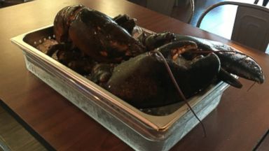 the lobster restaurant