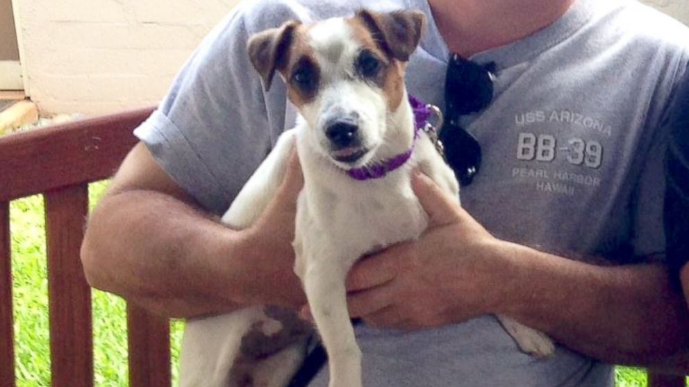 The Hawaiian Humane Society posted this photo of Sally Mae to their Facebook page, June 25, 2014, upon the dog's return to the shelter.