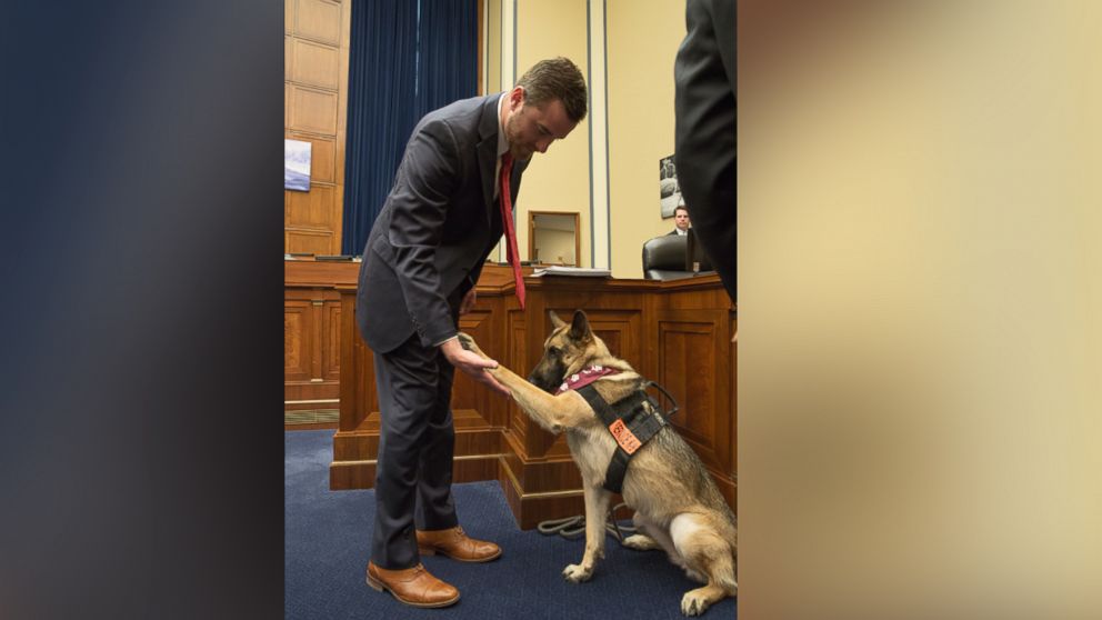 PHOTO: Cole Lyle, Marine veteran, with his service dog Kaya before the House Committee Government Oversight and Reform hearing, April 14, 2016. 