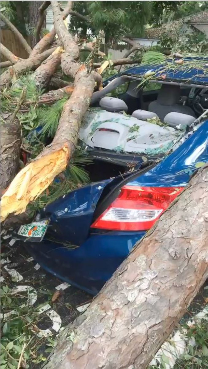 PHOTO: Wind gusts from Hurricane Hermine caused a tree to fall on top of a sedan in a residential Tallahassee neighborhood near Florida State University.