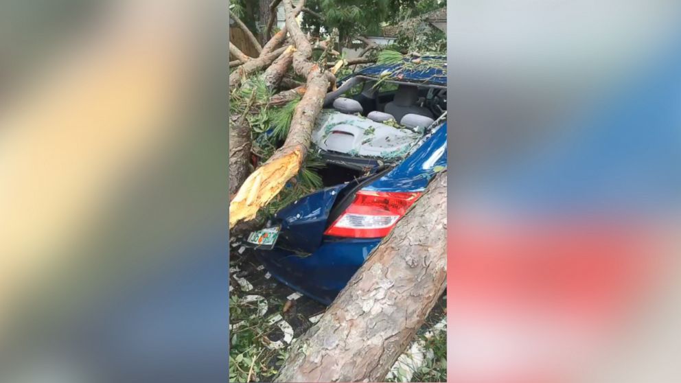 PHOTO: Wind gusts from Hurricane Hermine caused a tree to fall on top of a sedan in a residential Tallahassee neighborhood near Florida State University.