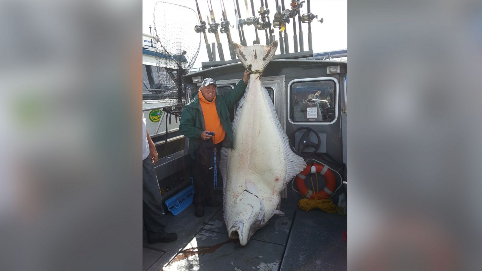 Fisherman Describes Reeling In 482-Pound Halibut - ABC News