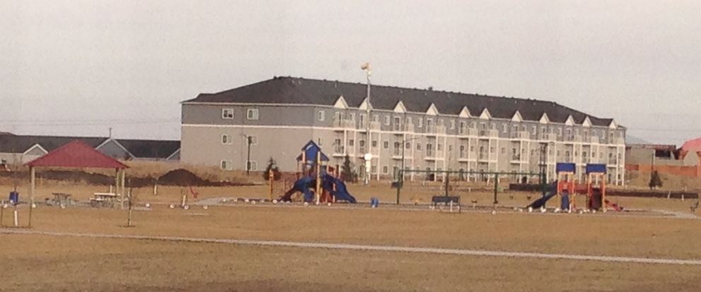 PHOTO: Jackrabbits dot the ground near a playground. 