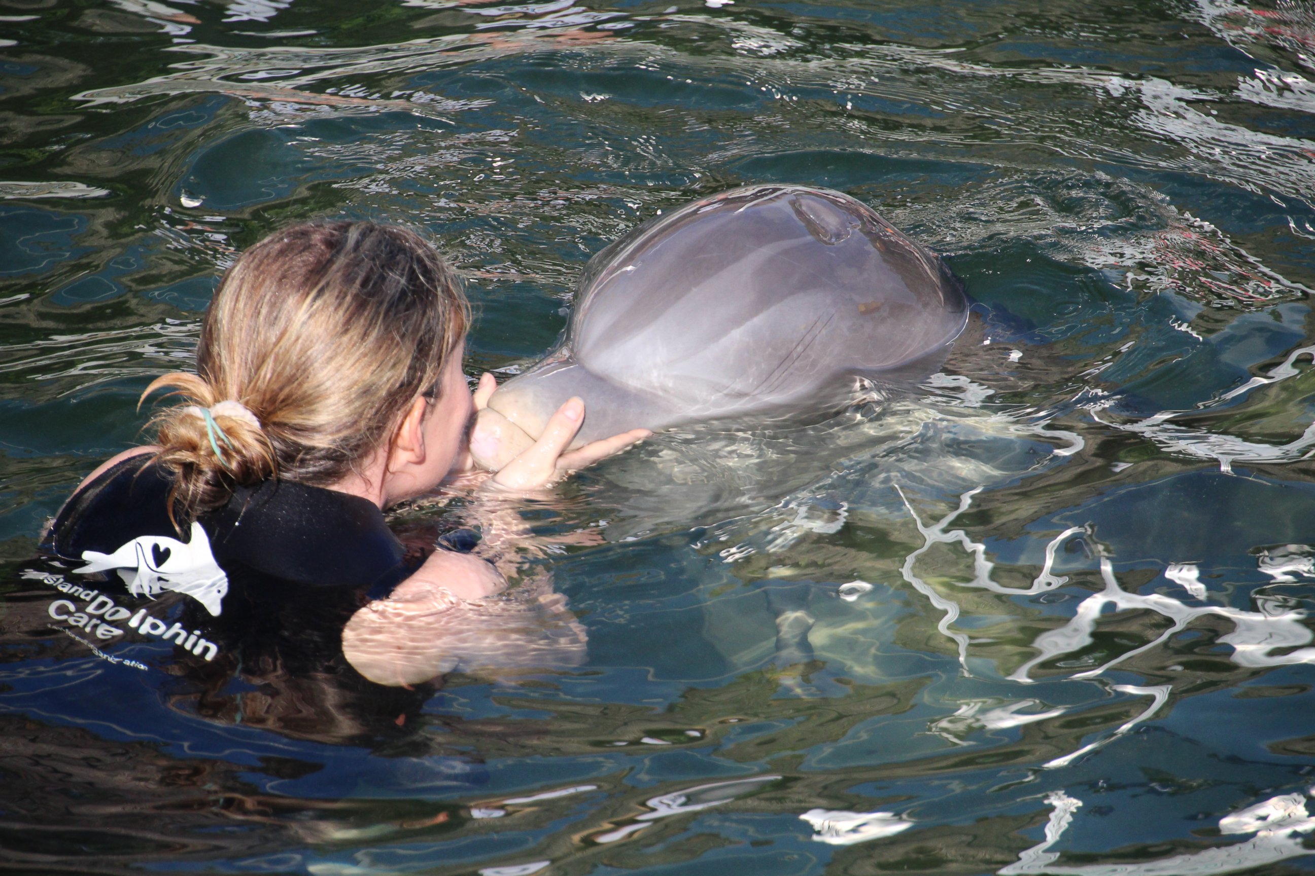 Jaycee Dugard is shown here swimming with dolphins in this family photo.