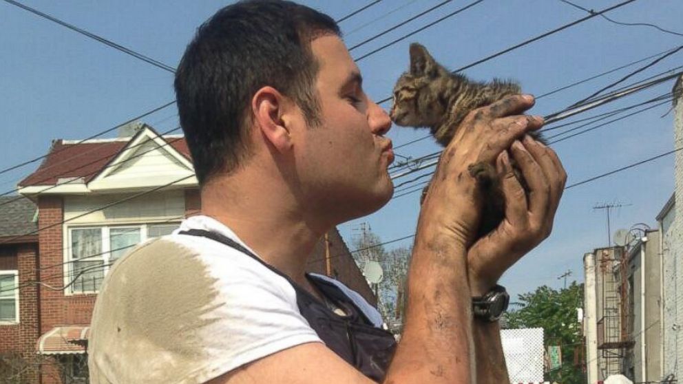 The New York Police Department posted this photo after one of its officers saved a kitten from an engine block.