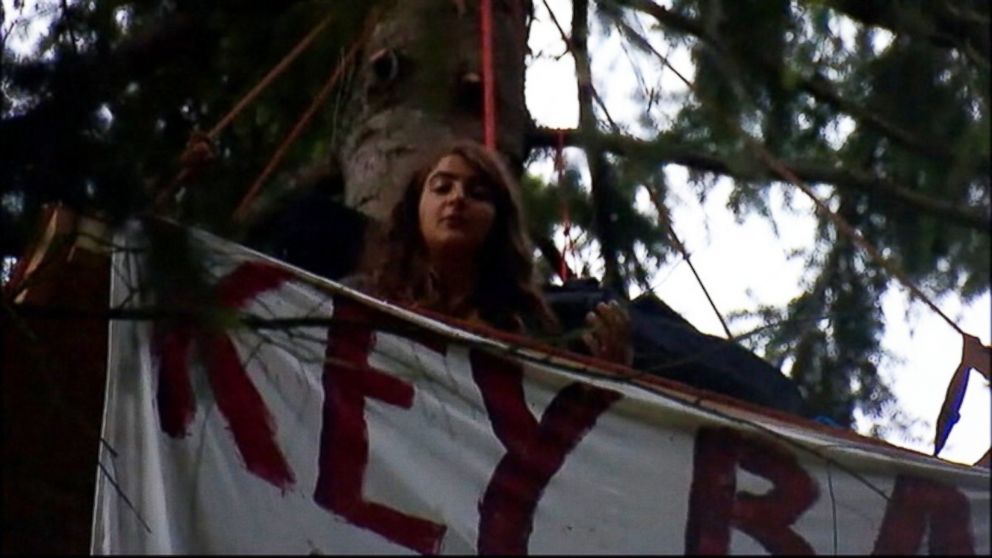 PHOTO: "Chiara D'Angelou, 19, said she has been practicing climbing trees to protest against mall sprawl in Bainbridge Island, Washington."