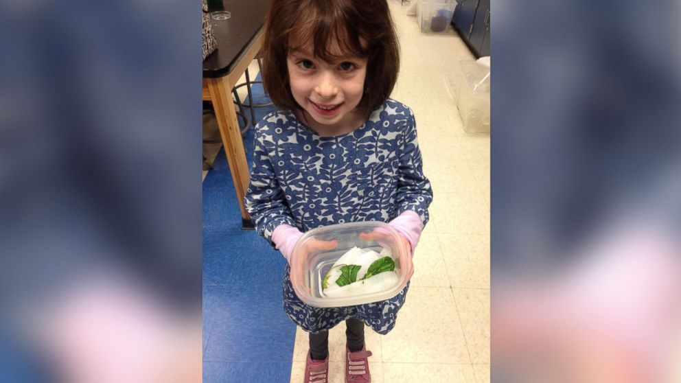 PHOTO: A lizard found in a kindergarten student's homemade salad on Jan. 19, 2016 has become a "class mascot" for a science lab at Riverside Elementary School in Princeton, N.J. 
