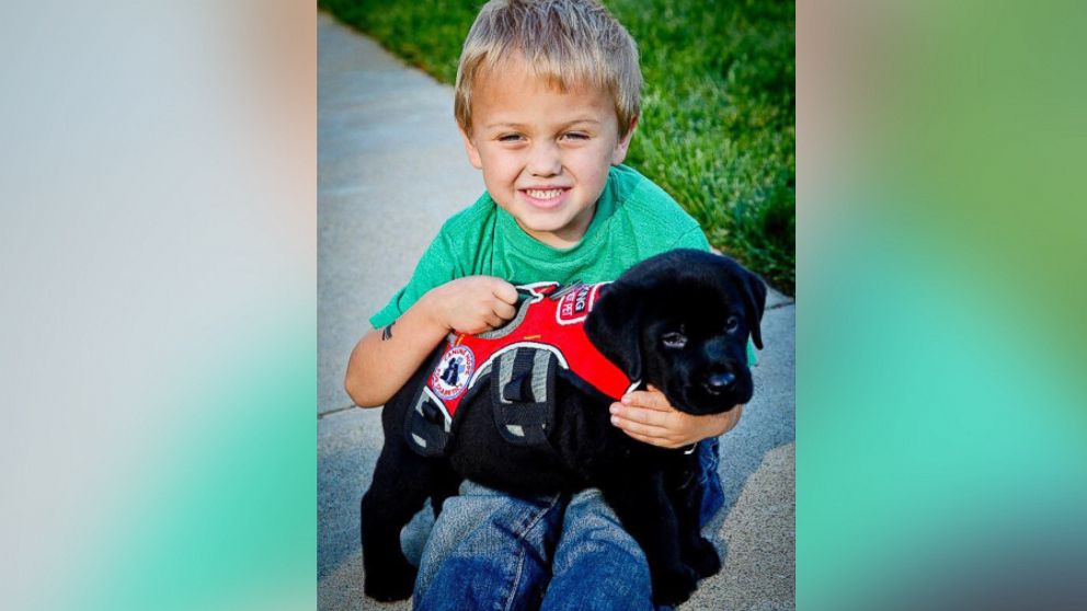 PHOTO:Luke Nuttall, a 7-year-old boy from Glendale, California, is pictured here with his diabetic alert dog named Jedi.