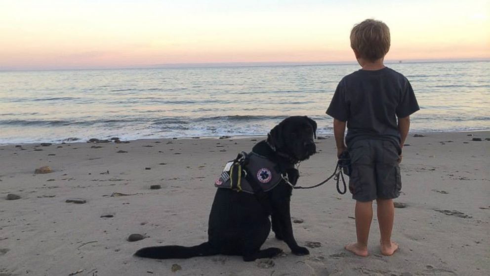 PHOTO:Luke Nuttall, a 7-year-old boy from Glendale, California, is pictured here with his diabetic alert dog named Jedi.