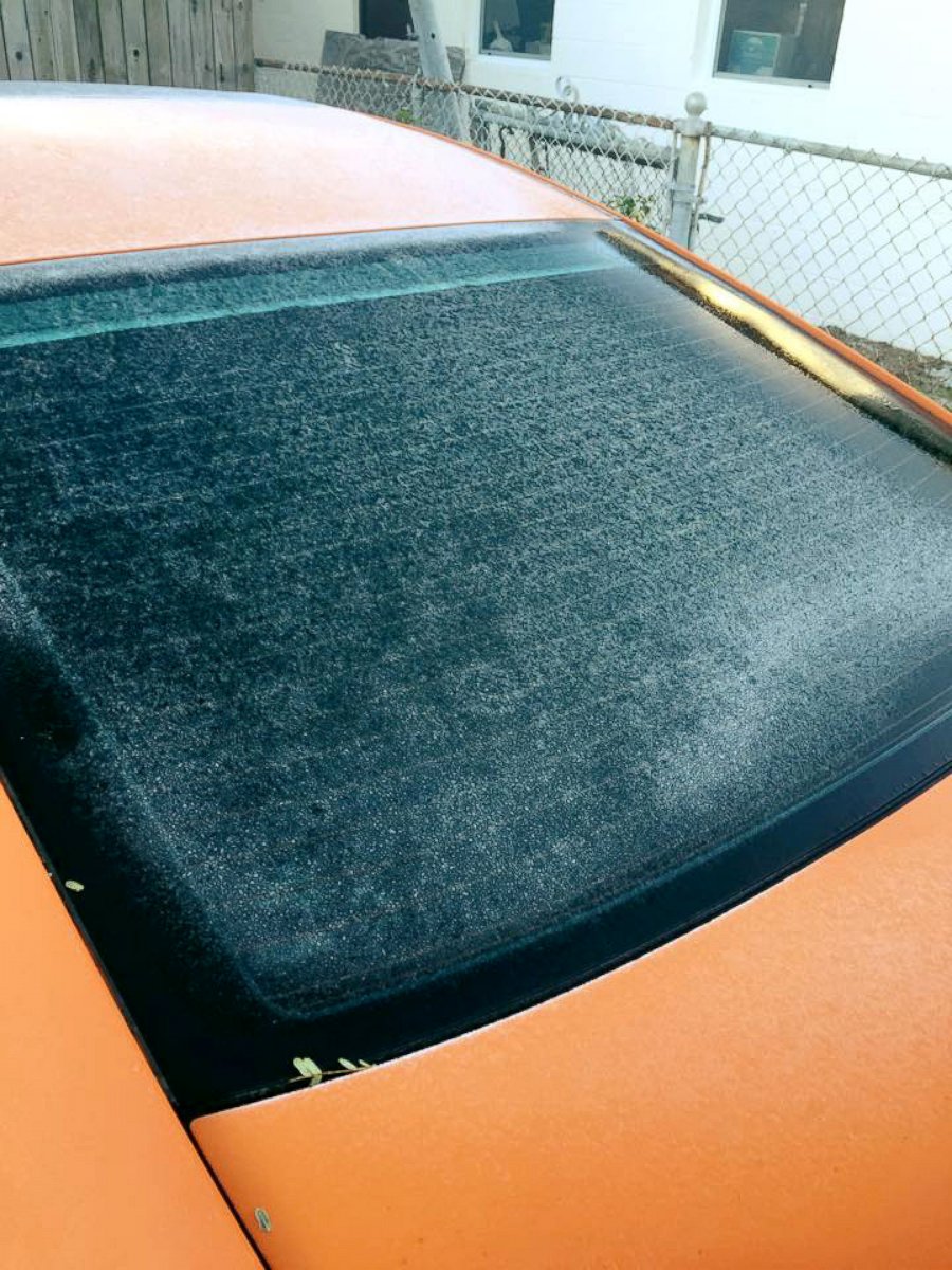 PHOTO: Frost is seen on a car's rear window in Melbourne, Fla., Feb. 11, 2016. 