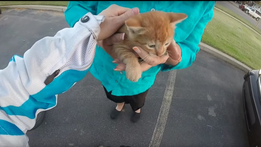 PHOTO:Motorcyclist Laney rescued a kitten found on a busy intersection. 