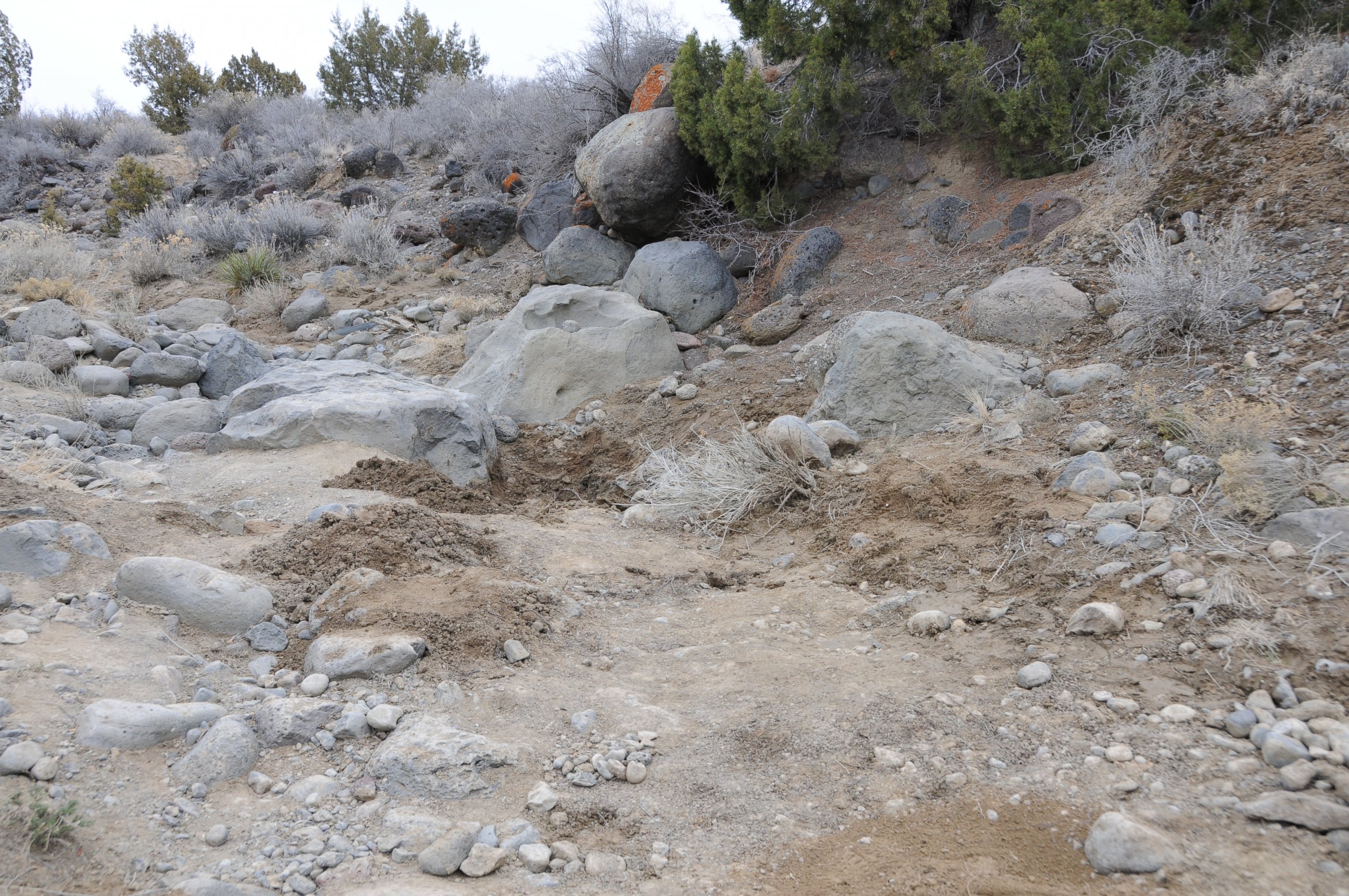 PHOTO: A hiker discovered skeletal remains in a gulch, pictured here, that were later identified as Paige Birgfeld.