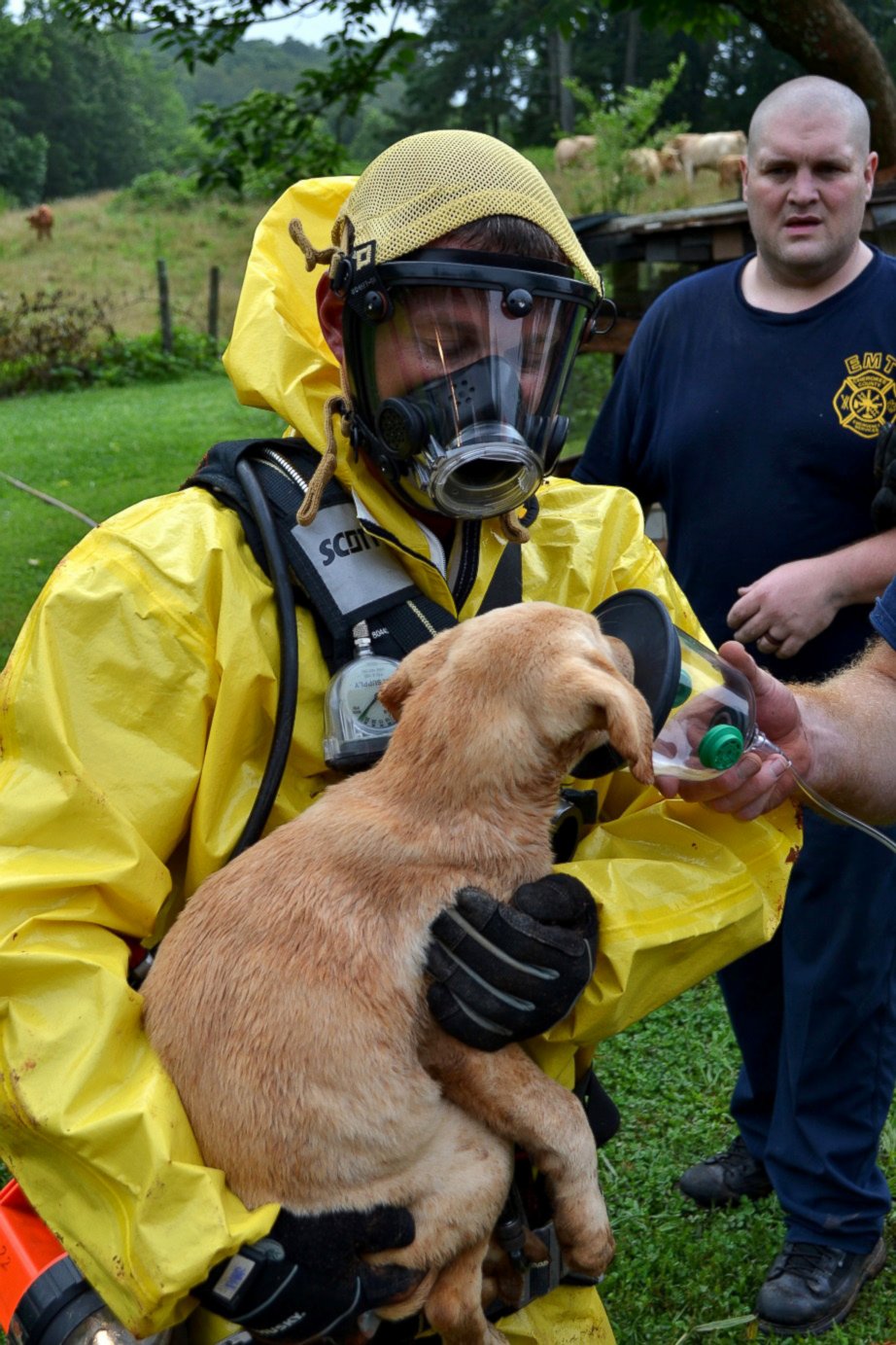 PHOTO: The Cherokee County Fire Department in Georgia rescued a yellow Labrador puppy from a 75-foot well on July 5, 2015.