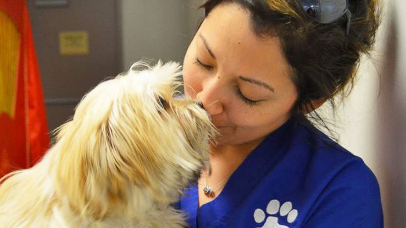Outpouring of Support for Shelter Animals Stuck in Texas Floods - ABC News