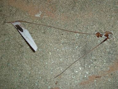PHOTO: Photo of a saw stuck in the floor of a tenants apartment owned by Kip and Nicole Macy.