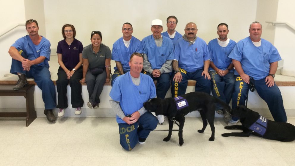 PHOTO: Groups of inmates at the Richard J. Donovan Correctional Facility in San Diego, California, and at the Mule Creek State Prison in Ione, California, are helping train puppies to become service dogs.