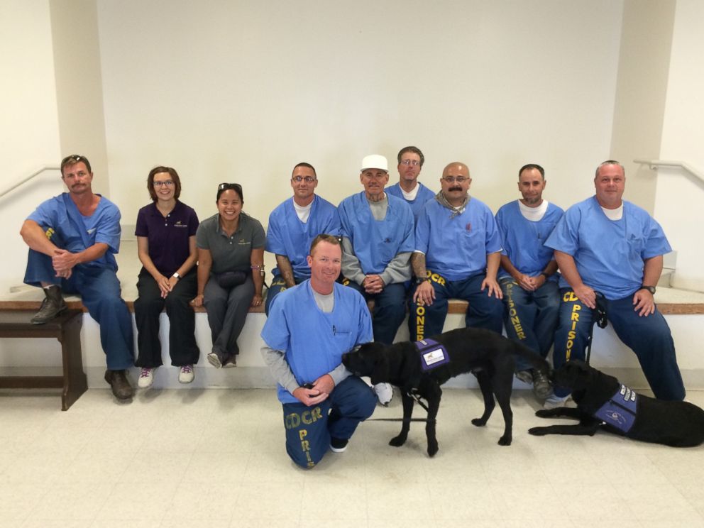 PHOTO: Groups of inmates at the Richard J. Donovan Correctional Facility in San Diego, California, and at the Mule Creek State Prison in Ione, California, are helping train puppies to become service dogs.