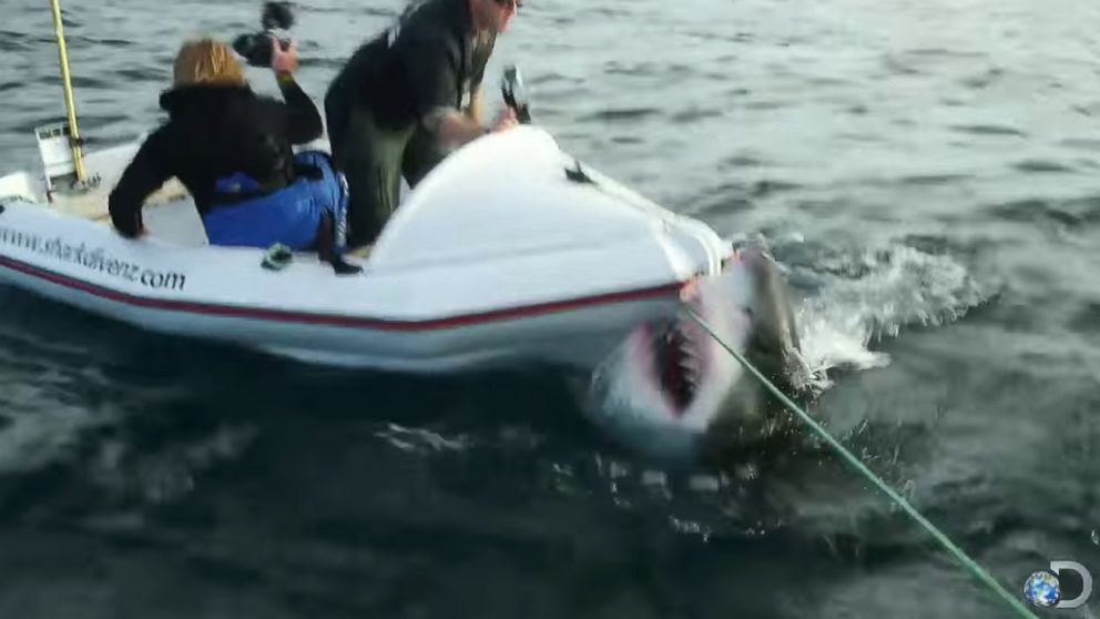 PHOTO: A great white shark attacked a dinghy occupied by two film crew members during filming for “Lair of the Megashark” in 2014.