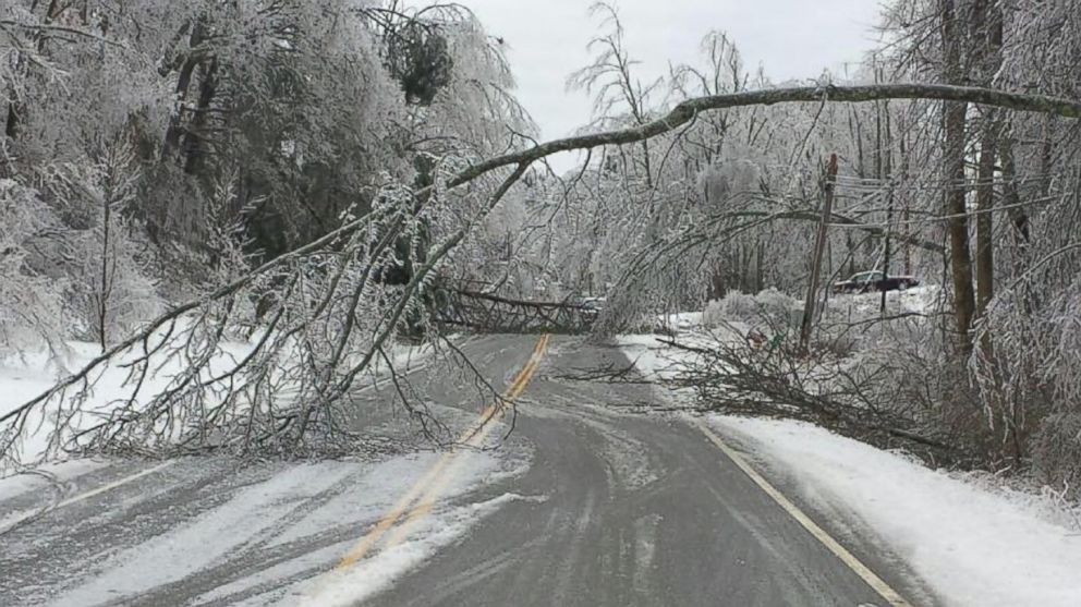 Power Poles Snap, Trees Sag in Tennessee Ice Storm ABC News