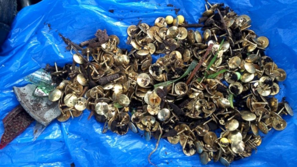 Hundreds of thumb tacks were found at the Ohlone Dog Park in Hercules, California. Police believe they were placed there intentionally.