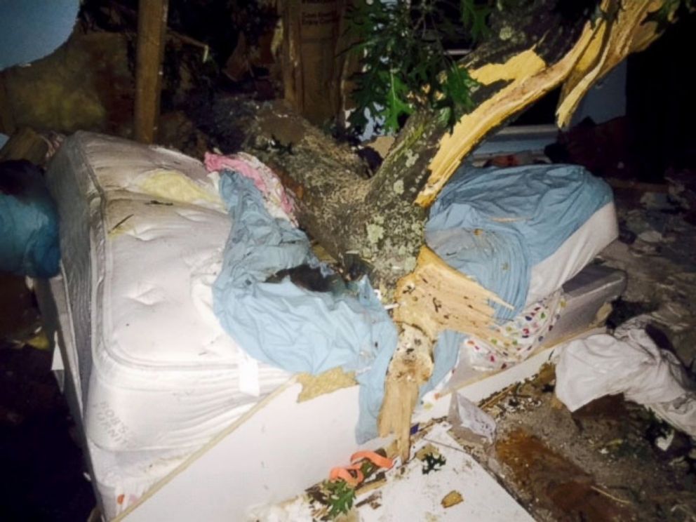 PHOTO: A tree fell on a woman while she slept in her bed in Great Neck, NY, July 27, 2015.