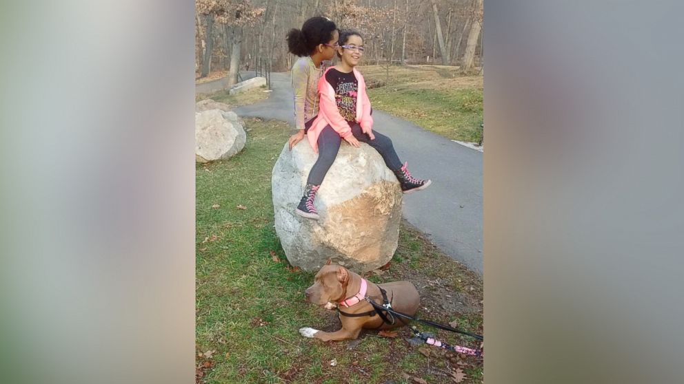 PHOTO: The 10-year-old Corry twins sit on a rock in Woodland Park, New Jersey while their new dog, Carmella, waits for them on the ground. 