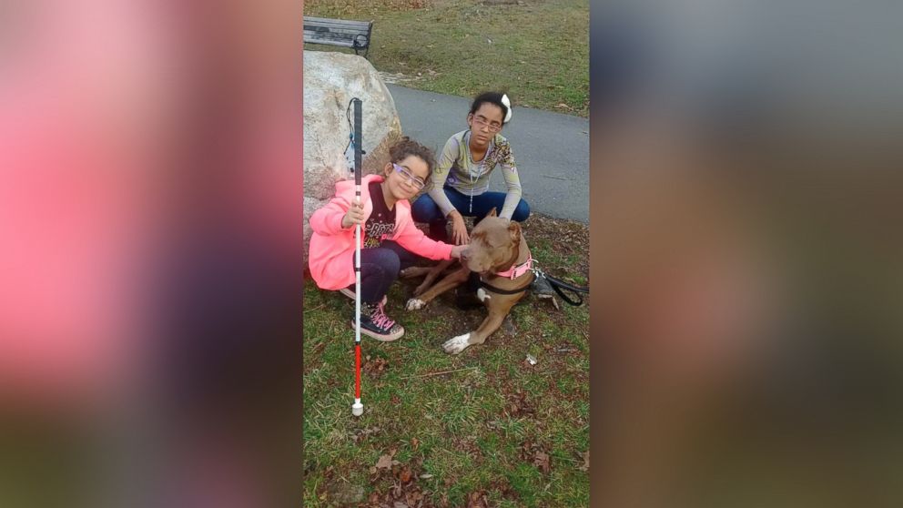 PHOTO: Tianna Johnson and Gianna Johnson play with their new dog, Carmella, who has bowed front legs and a problem with her spine.