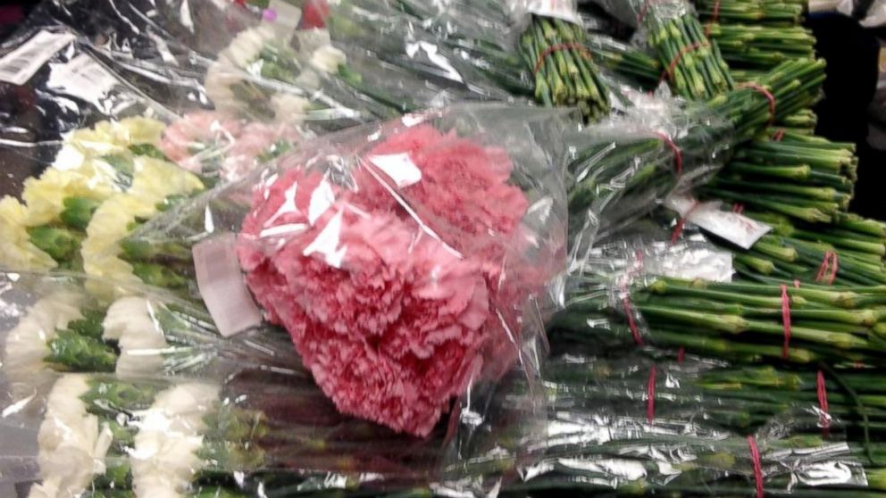 PHOTO: The high school senior bought carnations in more than six colors from an online wholesaler to hand out to every girl in school. 