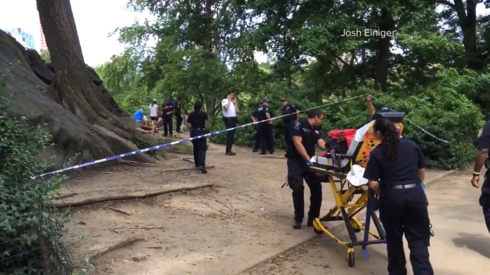 Explosive That Injured Man in New York's Central Park Likely 'an  Experiment,' Cops Say - ABC News