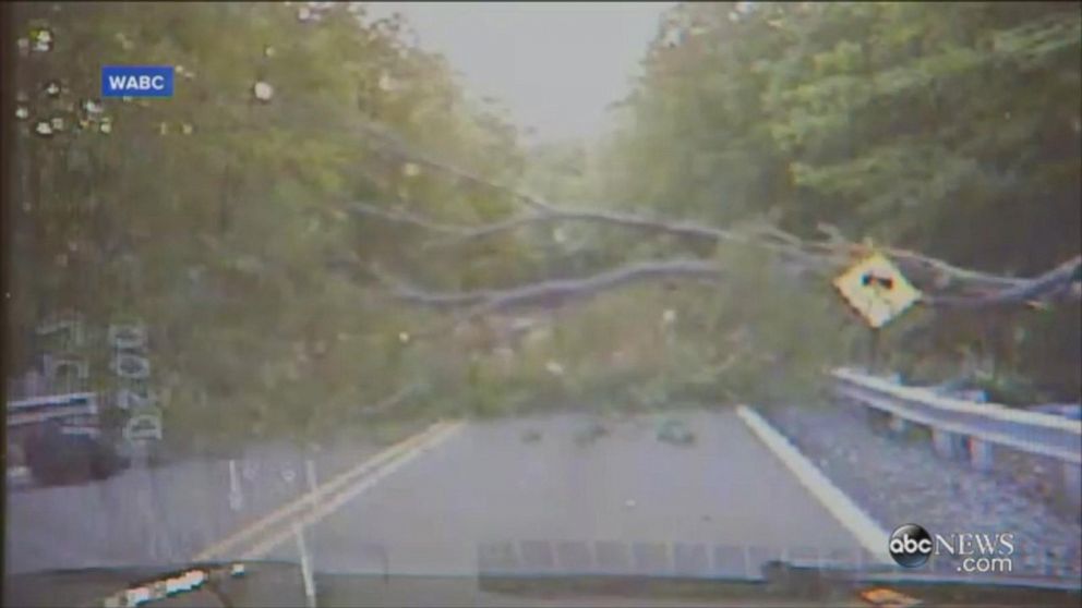 A 33-year-old officer with the Ringwood Police Department was almost pinned by a giant tree that came crashing down on a New Jersey road. 