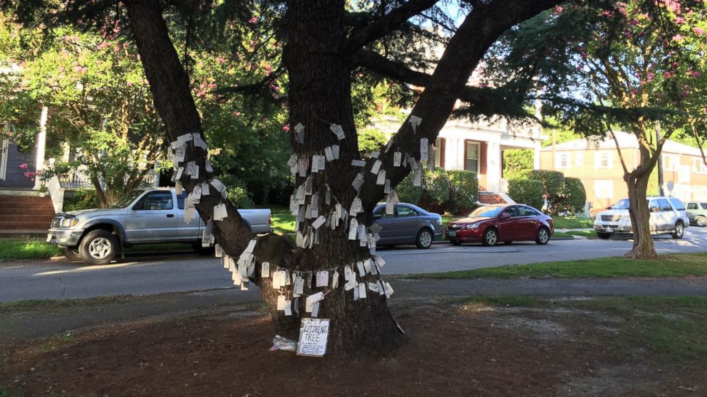PHOTO: A Wishing Tree has bloomed in the historical neighborhood of West Ghent in Norfolk, Virginia. Onlookers have been surprised by the honesty of the notes.