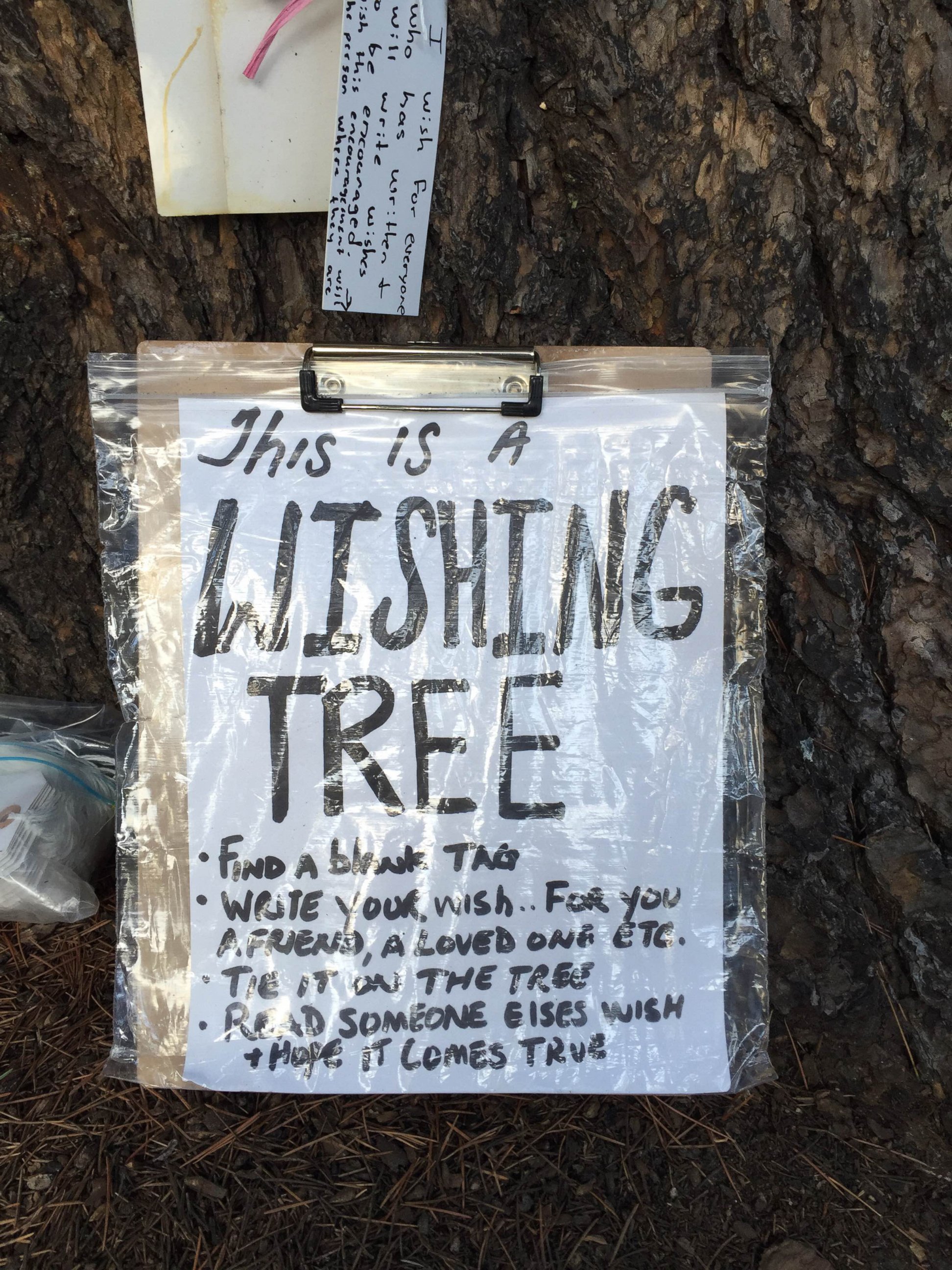 PHOTO: A Wishing Tree has bloomed in the historical neighborhood of West Ghent in Norfolk, Virginia. Onlookers have been surprised by the honesty of the notes.