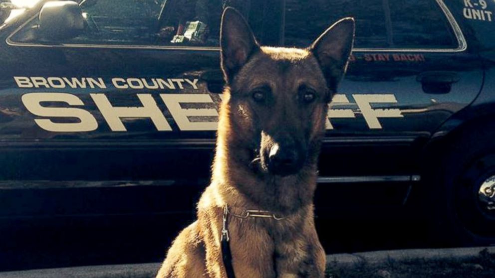 Wix, a K-9 unit dog for Brown County Sheriff's Department, is seen in this undated photo.