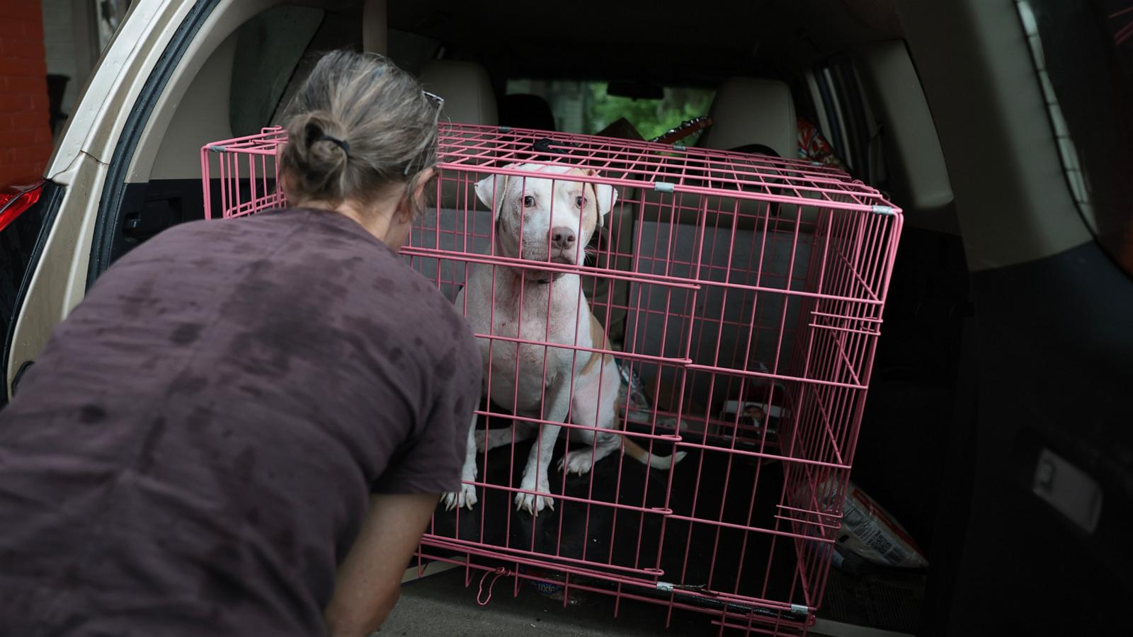 PHOTO: Gina Holland evacuates her home with her dog Cici before the arrival of Hurricane Isaias, Oct. 9, 2026, in Pensacola, Florida.
