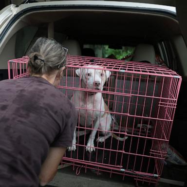 PHOTO: Gina Holland evacuates her home with her dog Cici before the arrival of Hurricane Isaias, Oct. 9, 2026, in Pensacola, Florida. 