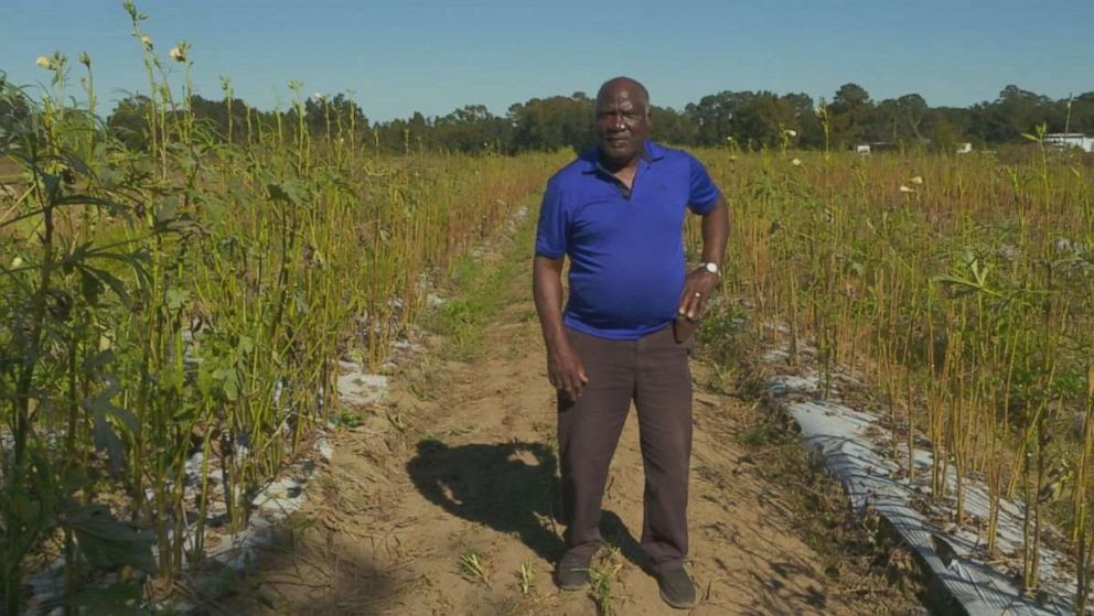 PHOTO: Joseph Field and his family have farmed the same land on the South Carolina Sea Islands for over a century.
