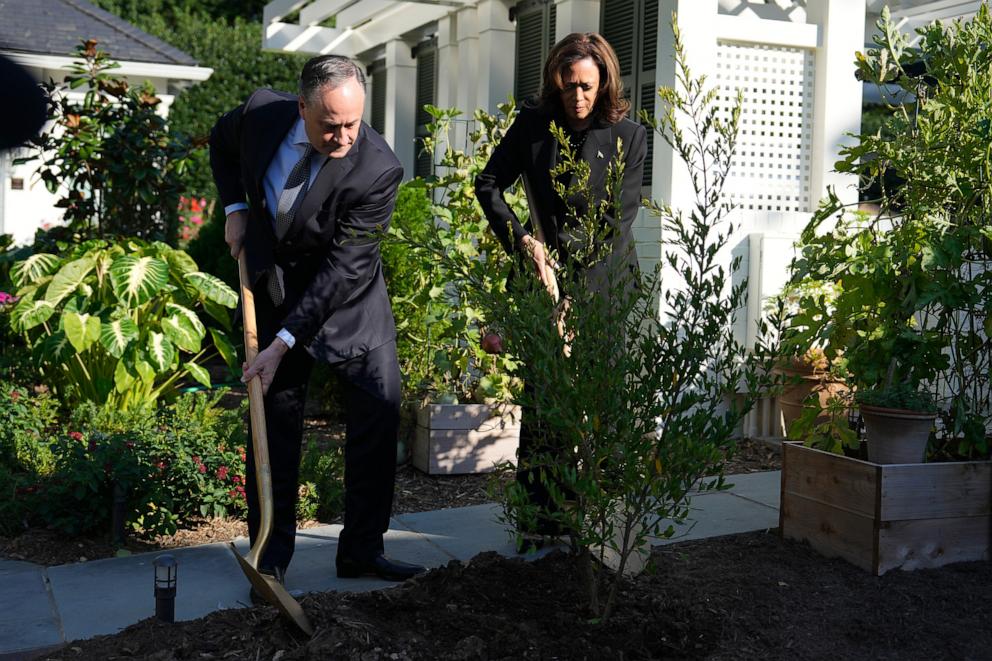 PHOTO: Democratic presidential nominee Vice President Kamala Harris and second gentleman Doug Emhoff plant a memorial tree on the grounds of their residence in Washington, Oct. 7, 2024, to honor the victims of the Oct. 7, 2023, Hamas attack on Israel.