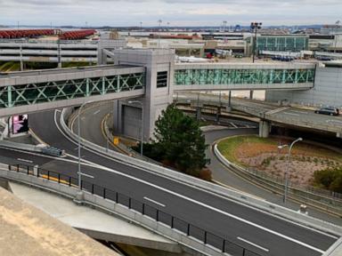 Scorpion stings woman at Boston baggage claim after flight from Mexico