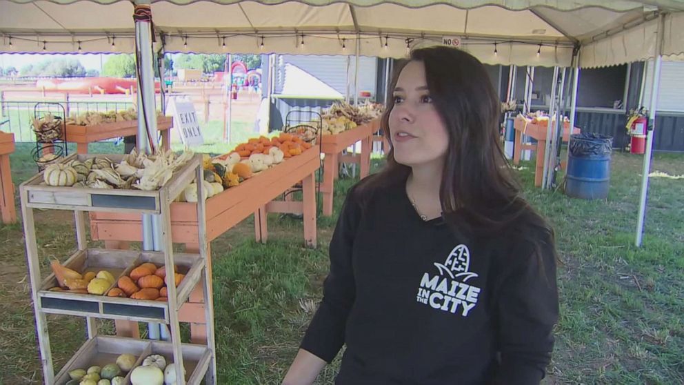 Pumpkin farmers across US ready to deliver fun this Halloween season